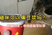 猫咪可以喝豆浆不,猫咪能喝豆浆吗煮多久