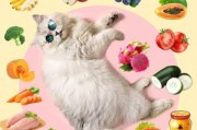 猫最爱吃的20种食物,猫可以吃猪肝吗 有什么好处