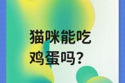 猫吃了生鸡蛋液会怎么样,小猫能吃生鸡蛋吗怎么吃