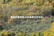 猫能吃葡萄吗(小心毒素引发危机)
