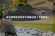 成犬博美应该吃多少狗粮合适（专家解答）