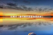 比熊犬（最可爱的家庭宠物选择）