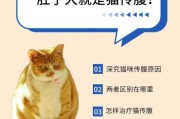 怎么判断猫是不是猫传腹(猫传腹是怎么得的,症状又是什么)