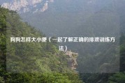 狗狗怎样大小便（一起了解正确的排泄训练方法）