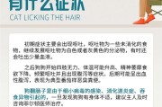 狗翻肠子(幼犬翻肠子的根源和救治之道)
