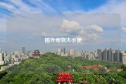 国外宠物大小便