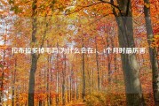 拉布拉多掉毛吗(为什么会在3、4个月时最厉害)