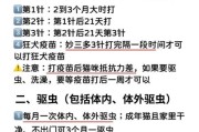 小猫疫苗接种指南：确保健康的必要步骤