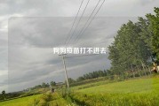 狗狗疫苗打不进去