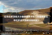 拉布拉多训练大小便需要多少天（全面解析拉布拉多幼犬如厕训练时间）