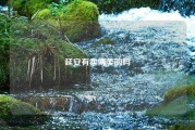延安有卖博美的吗