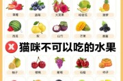 猫能吃的20种水果,猫能吃火龙果吗白心的