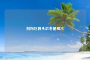 狗狗吃骨头后老是喝水