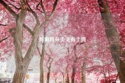 狗狗耳朵尖尖有个斑