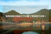 如何训练小狗自己大小便（专业技巧分享）