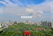 狗狗很怕我