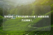 如何训练一个月大的边牧大小便（快速有效的方法揭秘）