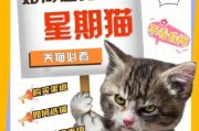 星期猫(揭秘星期猫骗局)
