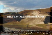 泰迪怎么养（专家教你如何训练大小便）