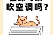 夏天猫咪怕热吗,猫咪怕热吗可以吹空调吗