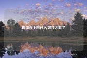 狗狗身上用什么可以去虱子