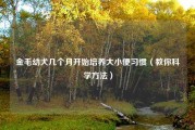 金毛幼犬几个月开始培养大小便习惯（教你科学方法）