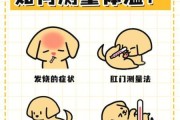 狗狗量体温怎么量视频,狗狗发烧摸哪个部位最明显