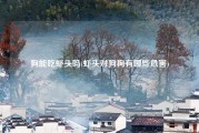 狗能吃虾头吗(虾头对狗狗有哪些危害)