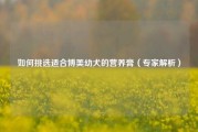 如何挑选适合博美幼犬的营养膏（专家解析）