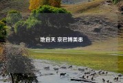 地包天 京巴博美串