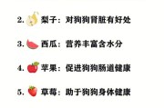 狗狗不能吃的食物清单,狗狗食用瓜子仁的最佳方式