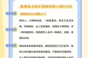 狗不打疫苗的严重后果：如何保护狗狗免受致命传染病威胁