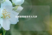 比熊智商相当于人几岁