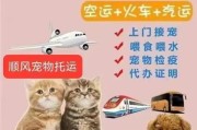 邮寄宠物需要什么手续(邮寄宠物多少钱)
