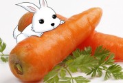 兔子一般吃什么蔬菜好,兔子一般吃什么东西