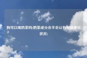 狗可以喝奶茶吗(奶茶成分会不会让狗狗健康出状况)