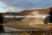 狗狗不吃不喝第四天了（如何解决这个问题）