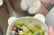 比熊能吃馒头吗？专家解答狗狗饮食安全问题