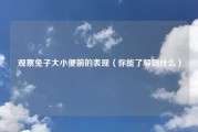 观察兔子大小便前的表现（你能了解到什么）