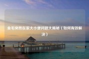 金毛突然在家大小便问题大揭秘（如何有效解决）
