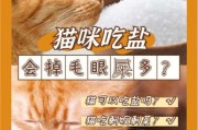 猫可以吃盐吗