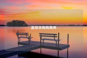 温哥华狗狗寄养