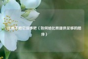 比熊不陪它没事吧（如何给比熊提供足够的陪伴）
