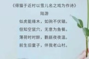 关于猫的诗句,关于猫的诗句及表达感情