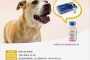 卫佳疫苗：预防犬瘟热、细小病毒的最佳选择