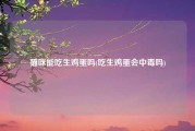 猫咪能吃生鸡蛋吗(吃生鸡蛋会中毒吗)