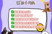 猫咪什么时候驱虫合适,猫咪什么时候可以驱虫了