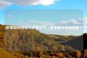 萨摩耶的训练大小便技巧（帮您解决狗狗难题）