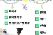 狗能喝自来水吗怎么喝,狗可以喝自来水不
