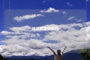 球体博美聪明吗